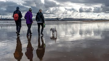 Beach nearby