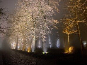 Un camí empedrat flanquejat per arbres amb troncs il·luminats, que condueix a un edifici amb entrada visible.