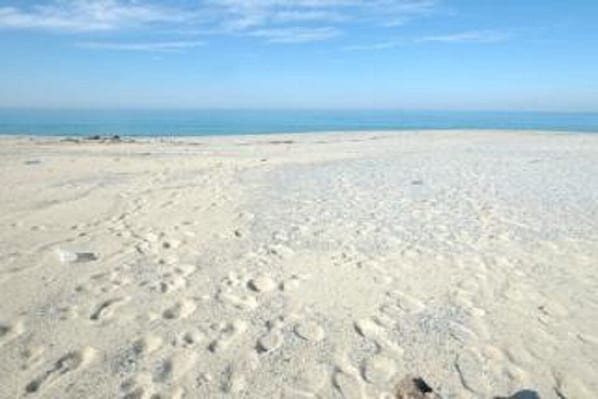 Plage à proximité, serviettes de plage