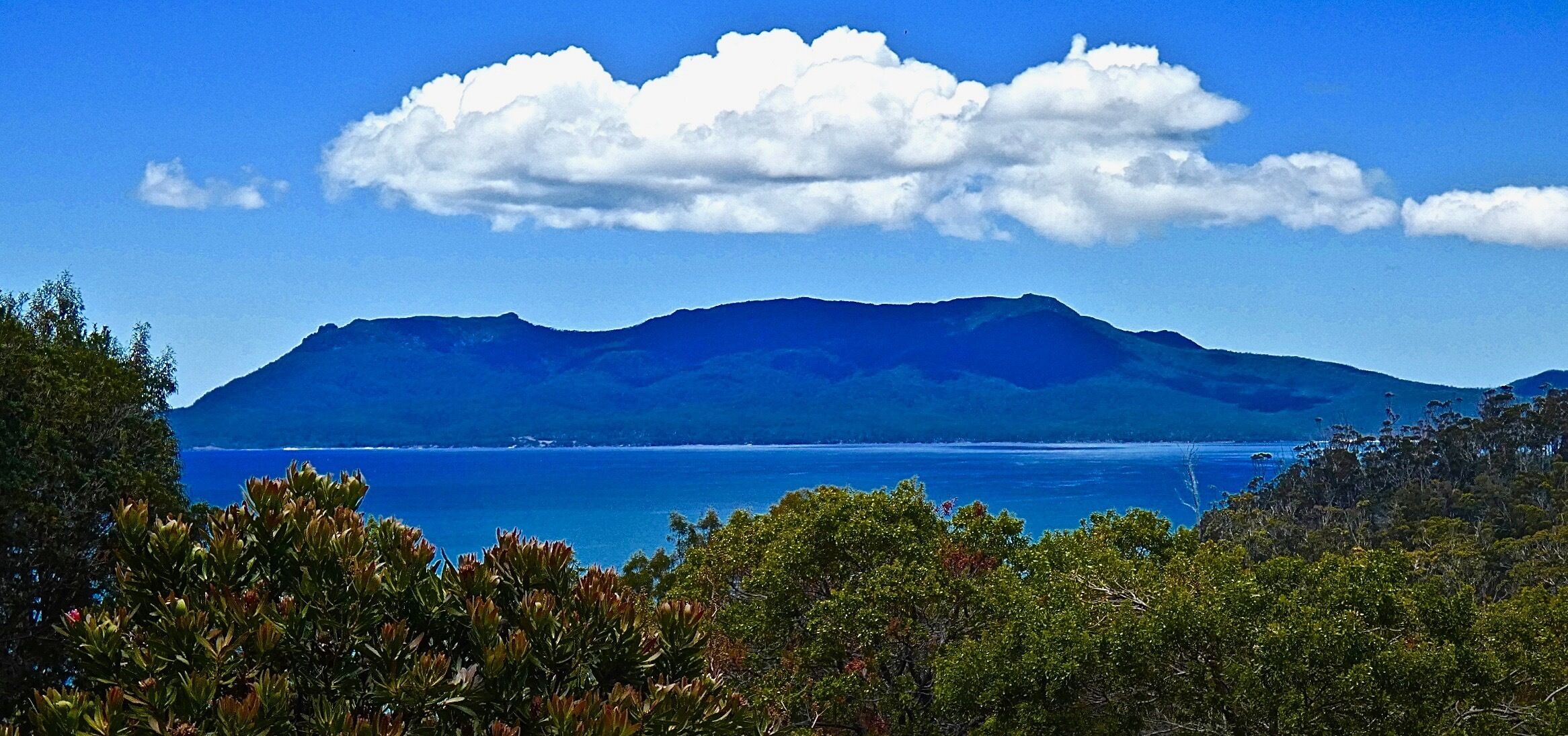 The Retreat At Spring Beach