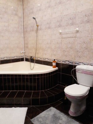 Combined shower/tub, hair dryer, towels, soap