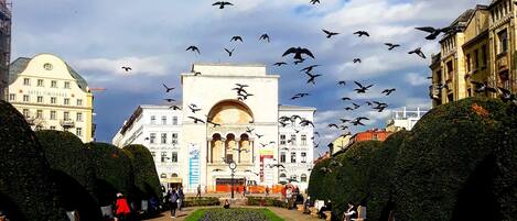 المنشأة من الخارج