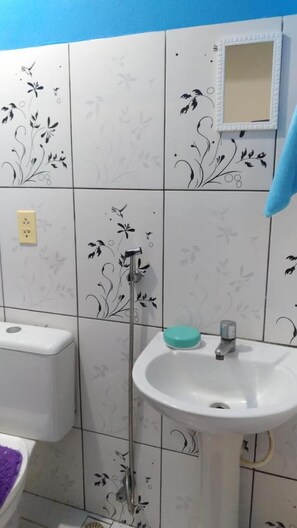 Regadera, toallas, papel de baño