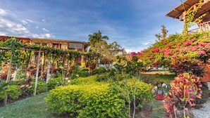 A garden with various plants and trees, a wooden building with a roof, and a clear blue sky. - Tucurinca Hotel & Spa (Montenegro)