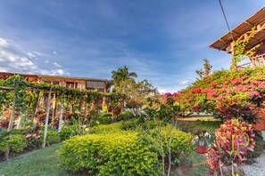 Property grounds - Tucurinca Hotel & Spa (Montenegro)