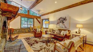 TV connectée, cheminée, lecteur de DVD, livres