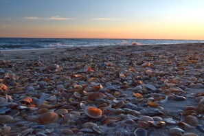 Serviettes de plage