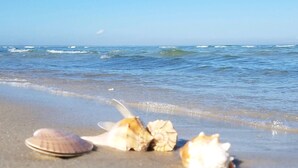 A beach with scattered seashells and waves in the background. - Spacious 2000+sqft Home, 3 min to Beach, Lighthouse & Quaint Village (St George Island)
