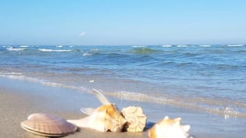 Toalhas de praia
