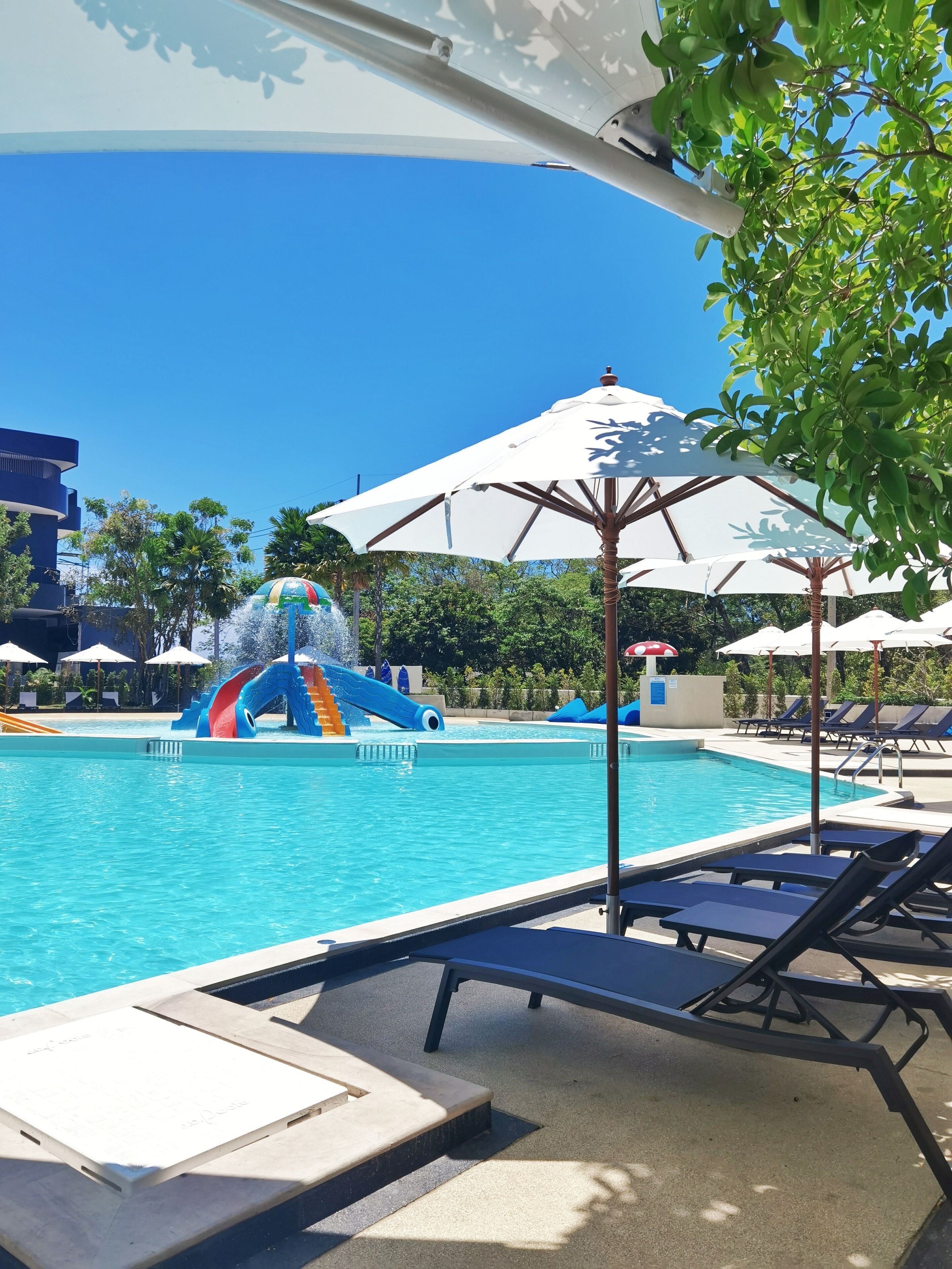 A swimming pool with lounge chairs and umbrellas, a water slide, and palm trees.