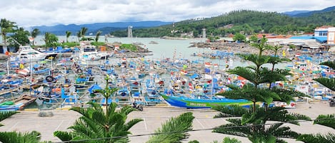 Vista desde la propiedad