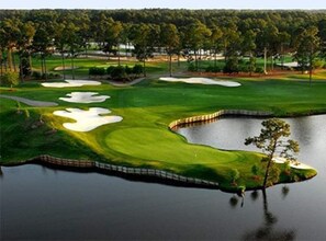 Een golfbaan met zandbunkers, een vijver en een bos op de achtergrond.