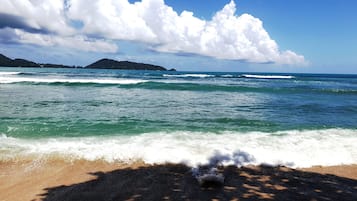 Yakında plaj, ücretsiz plaj servisi, şezlong, plaj havlusu