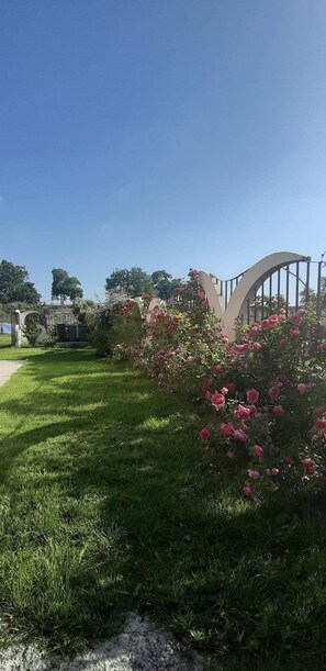 Comfort Triple Room | Garden view