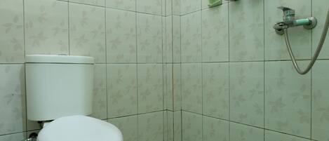 A small bathroom with a toilet, a shower, and a toilet paper holder.
