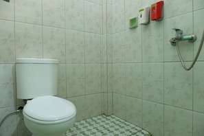 Een kleine badkamer met toilet, douche en toiletrolhouder.