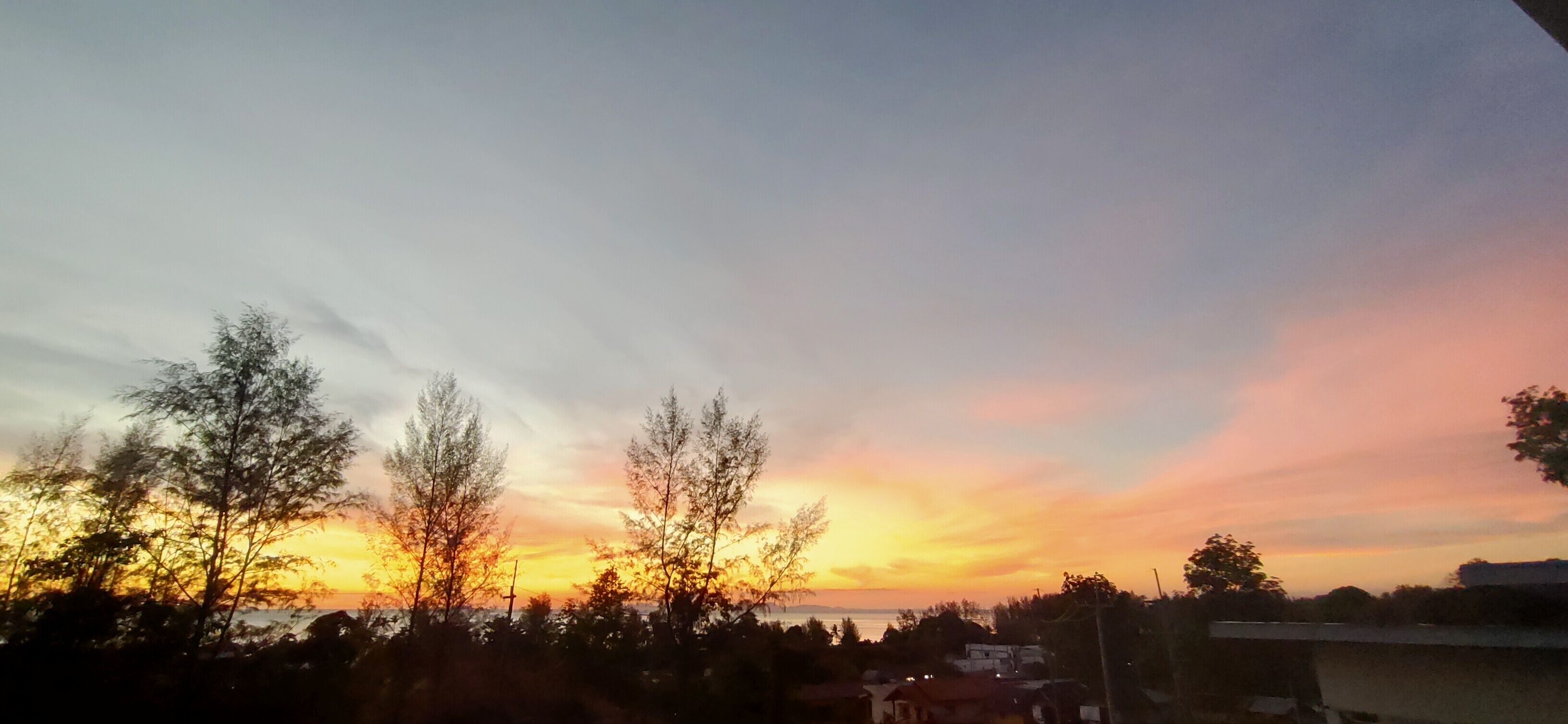 A sunset with trees silhouetted against the sky.