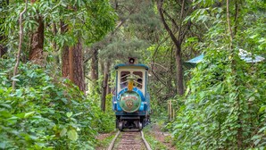 A train on a narrow track surrounded by dense greenery. - Hotel Shripad Continental (Amravati)