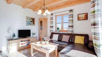 TV, fireplace, table tennis