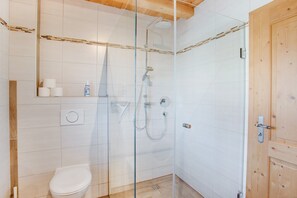 Une salle de bain moderne avec une douche à parois de verre, des toilettes et une porte en bois.