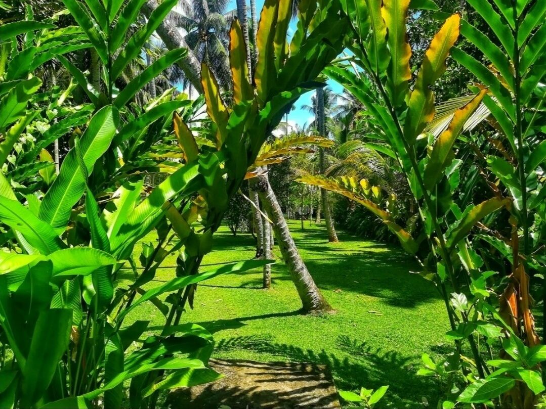 Áreas de la propiedad