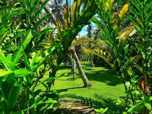 Old Parkland Hostel Galle