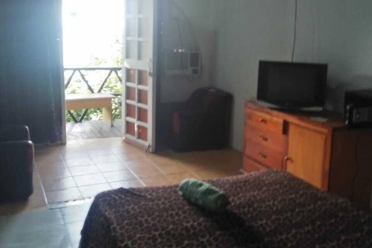 A bedroom with a bed, a television, a dresser, and a suitcase.