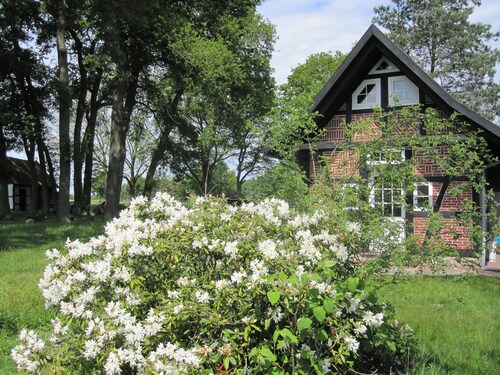 Small bakery in the country