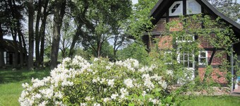 Small bakery in the country