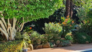 A swimming pool with a tiled edge, surrounded by a variety of plants and trees. - On Pinewood Guest House (Cape Town)