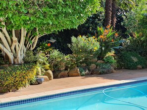 Garden - On Pinewood Guest House (Cape Town)