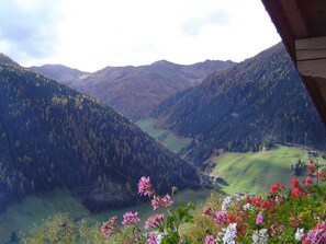 Miscellaneous - Apartment Dorfblick - Apartmenthaus Gutwenger - Selmerhof (Innervillgraten)