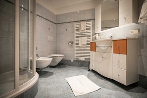 Hair dryer, bidet, towels, toilet paper