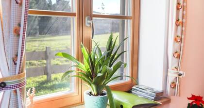 Cosy Apartment "Bergblick" with Garden, Terrace & Wi-Fi; Parking Available