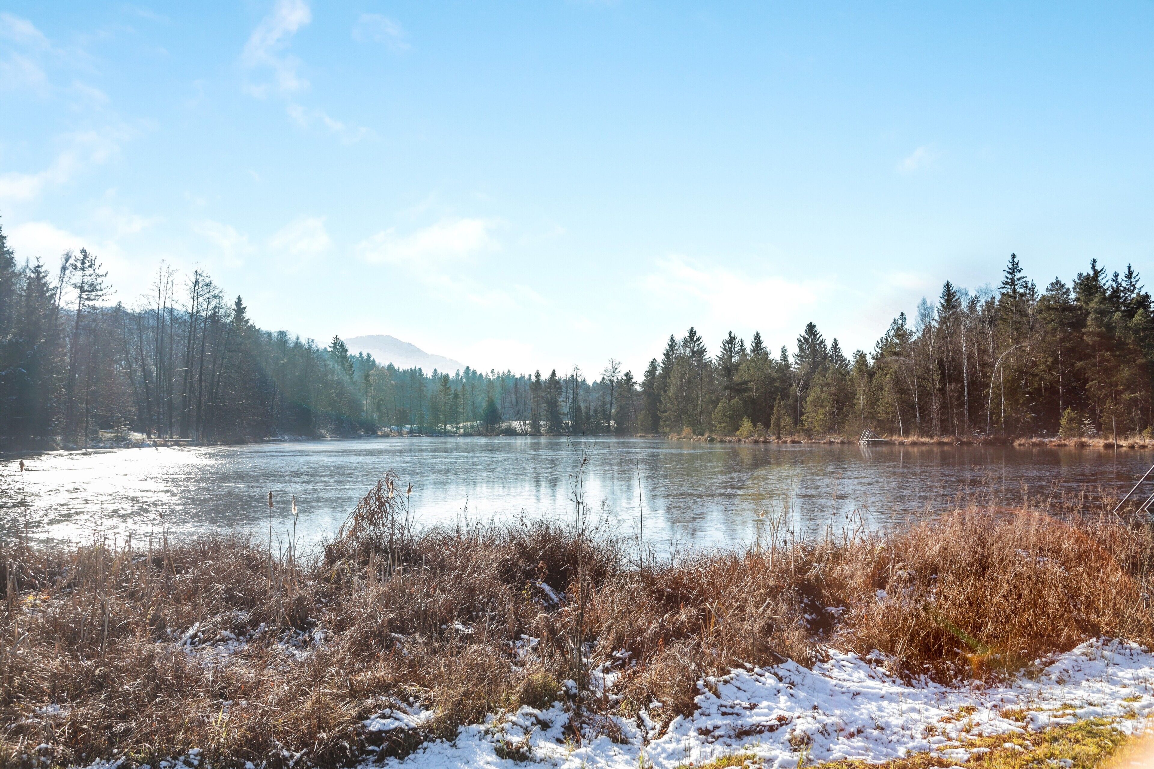 Eine natürliche Landschaft mit einem See, Wald und Bergen im Hintergrund.