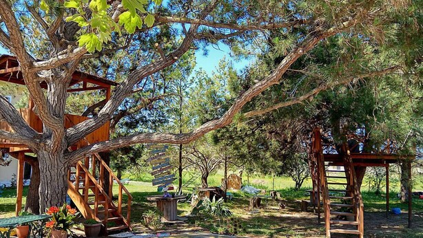 A treehouse with wooden stairs and a wooden platform. - Gongis Studios (Corfu)