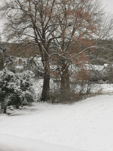 Apartment Wiesenblick - Apartment