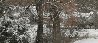 Asunto Wiesenblick - Huoneisto