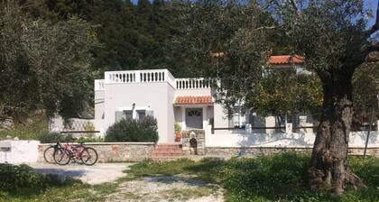 Villa Tillia