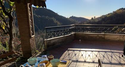 Villa Vigna