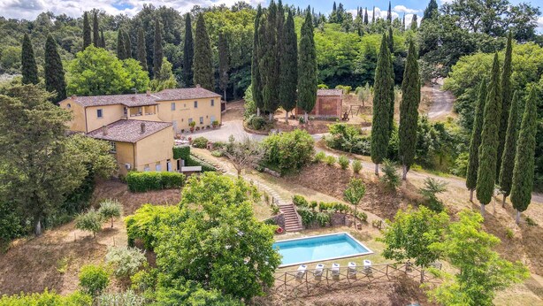 A villa with a swimming pool surrounded by lush greenery and tall cypress trees. - Villa Bacco (Peccioli)