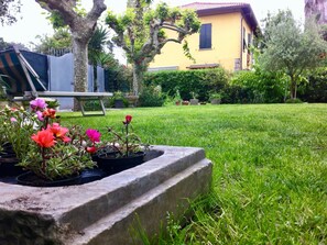 Garden - La Casina (Massa)