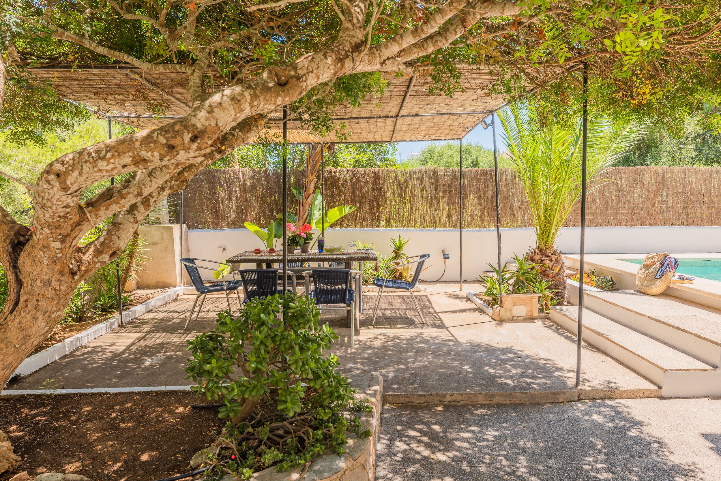 An outdoor patio area with a table and chairs, surrounded by potted plants and a tree.