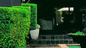 Front of property - Zwinoni Lodge (Cape Town)