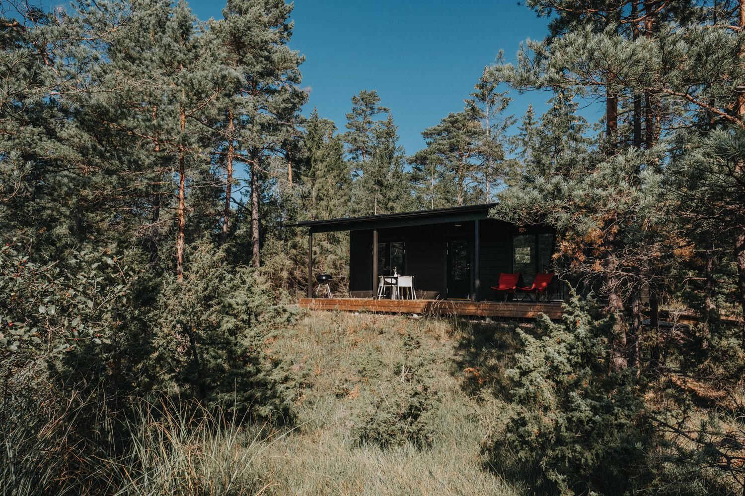 A cabin with a deck, surrounded by dense forest.