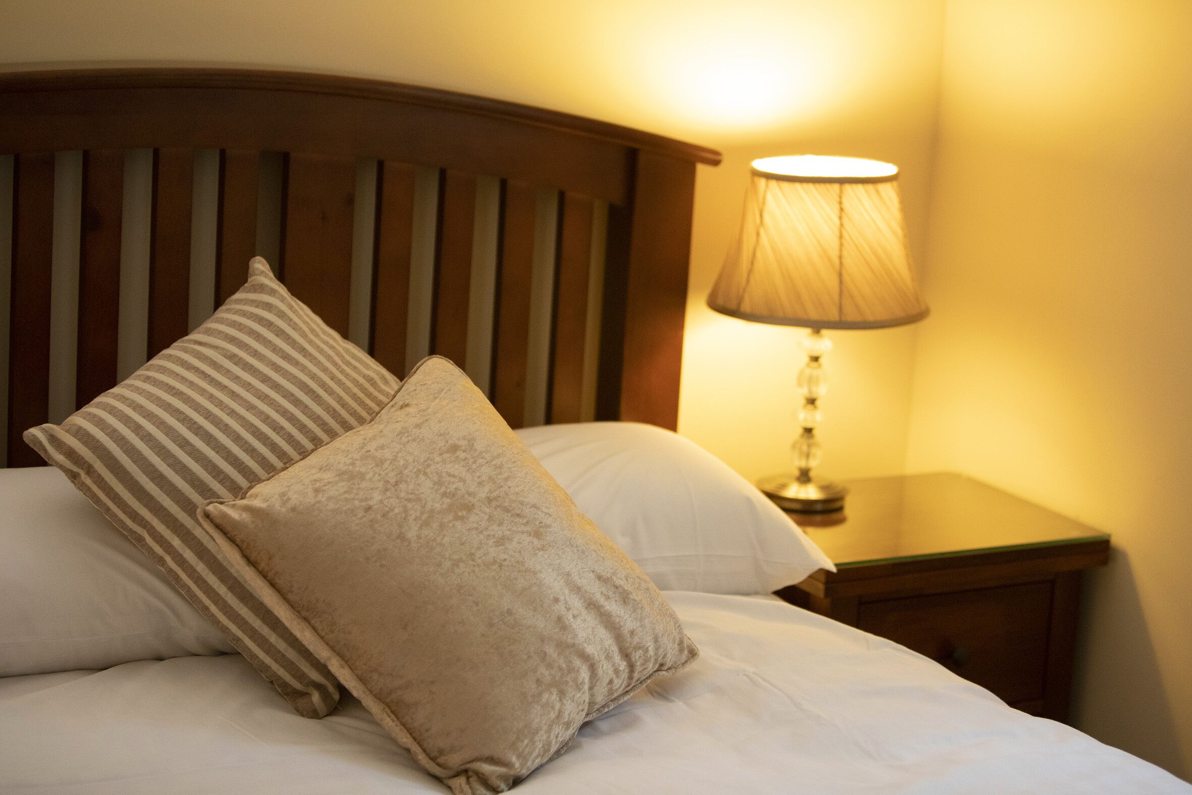 Comfort Studio Suite | Free WiFi