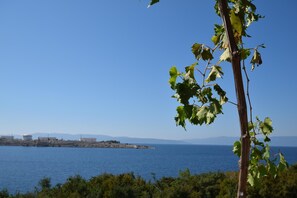 Apartment, 3 Bedrooms | Beach/ocean view