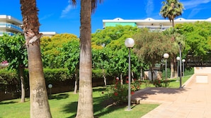 A landscaped garden with palm trees, a pathway, and a building with a green and white facade in the background.