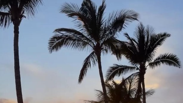 A sunset view with palm trees and a beachside seating area. - Costa Azul - 3 Left (Puerto de Naos)