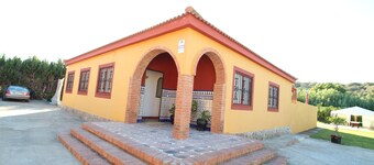 Among orange trees, rural farm